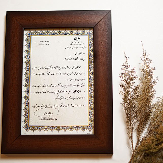 گواهینامه ها و افتخارات شرکت آتیه سازان نگین فراز