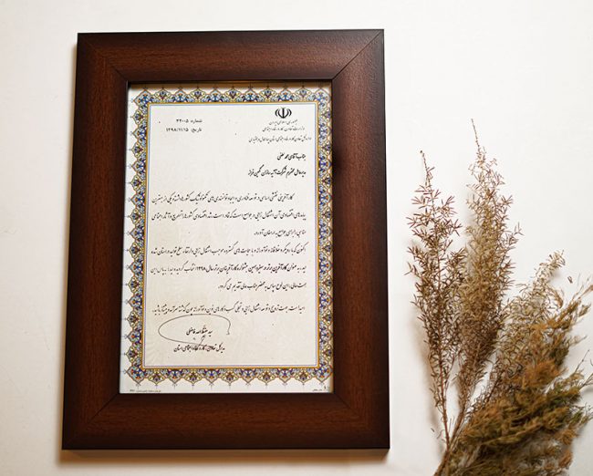 گواهینامه ها و افتخارات شرکت آتیه سازان نگین فراز