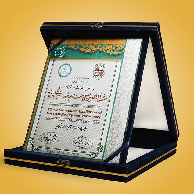 گواهینامه ها و افتخارات شرکت آتیه سازان نگین فراز