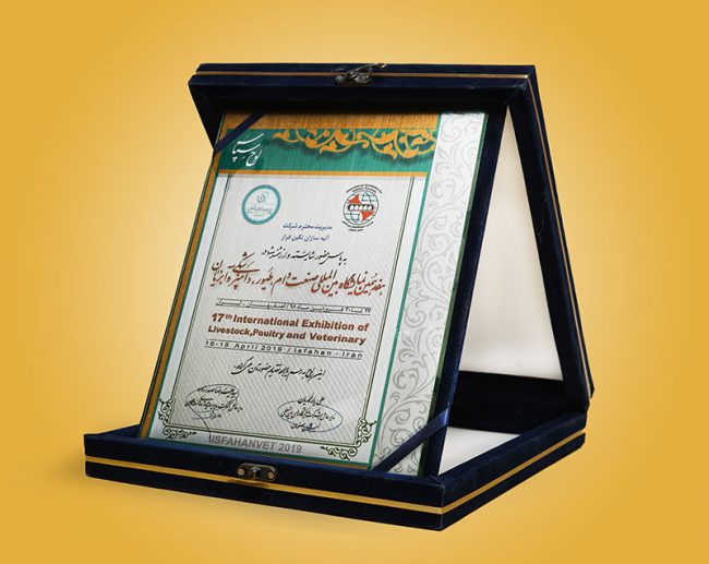 گواهینامه ها و افتخارات شرکت آتیه سازان نگین فراز