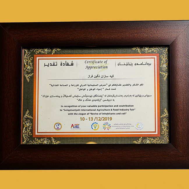 گواهینامه ها و افتخارات شرکت آتیه سازان نگین فراز