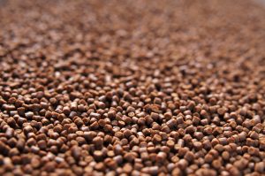 خوراک ماهی قزل آلا