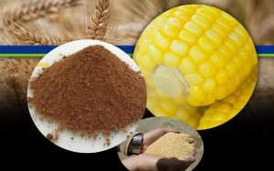 مواد اولیه تولید خوراک آبزیان