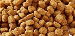 غذای سگ