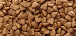 غذای سگ