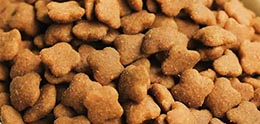 غذای سگ