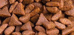 غذای گربه