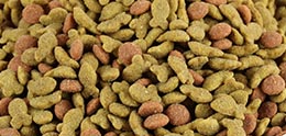 غذای گربه