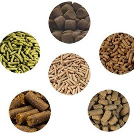 تولید خوراک دام 2 تولید خوراک دام