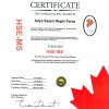 HSE-MS
