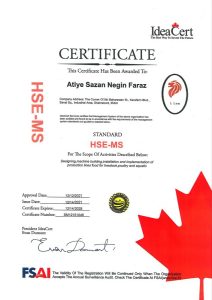 HSE-MS