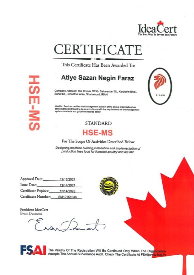 HSE-MS