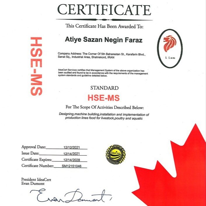 HSE-MS