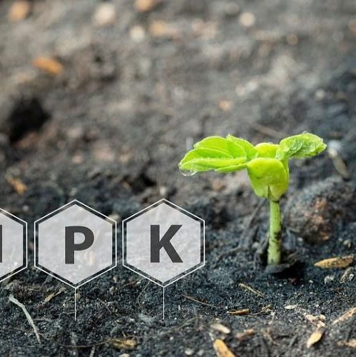 کود NPK