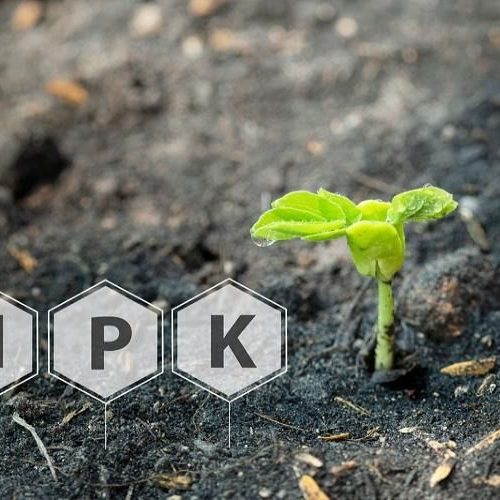 کود NPK