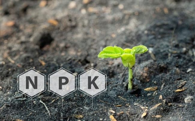کود NPK
