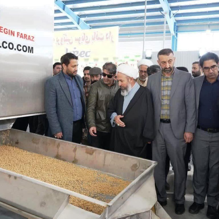 سویا پروتئین مصرف انسانی