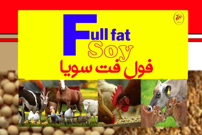 خط تولید فول فت سویا