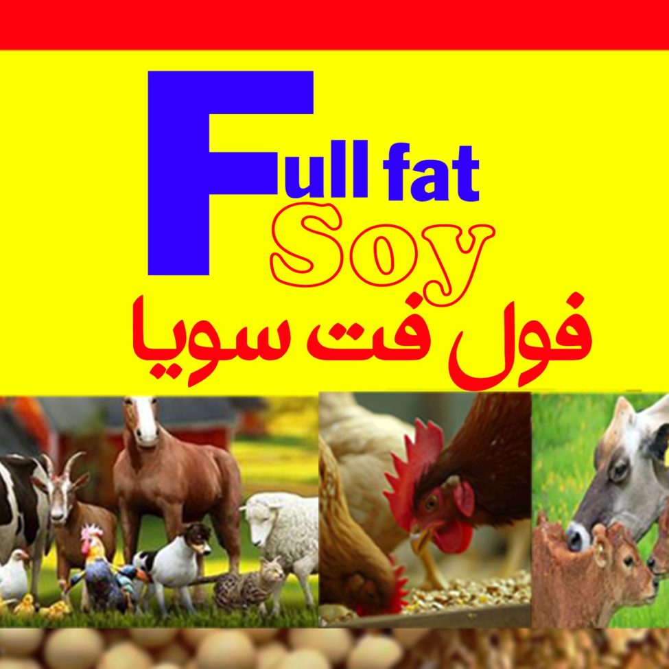 خط تولید فول فت سویا