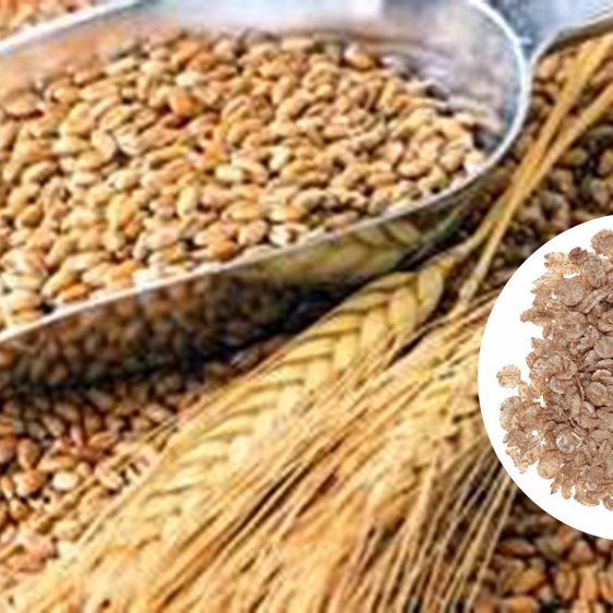 خط تولید فلیک غلات