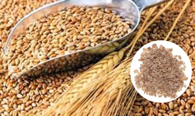 خط تولید فلیک غلات
